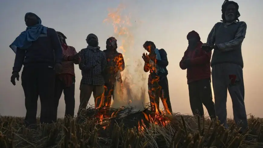 Jharkhand Weather : कांपता झारखंड, गुमला बना 'छोटा कश्मीर', पारे में भारी गिरावट, अगले 4 दिनों तक प्रलयकारी ठंड
