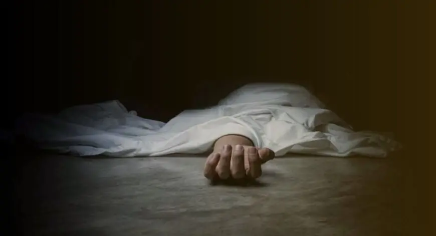 Bodam Tragedy: खूनी खेल, बोड़ाम में काड़ा लड़ाई के दौरान भैंसे का तांडव, पिता की मौत, बेटा अस्पताल में भर्ती