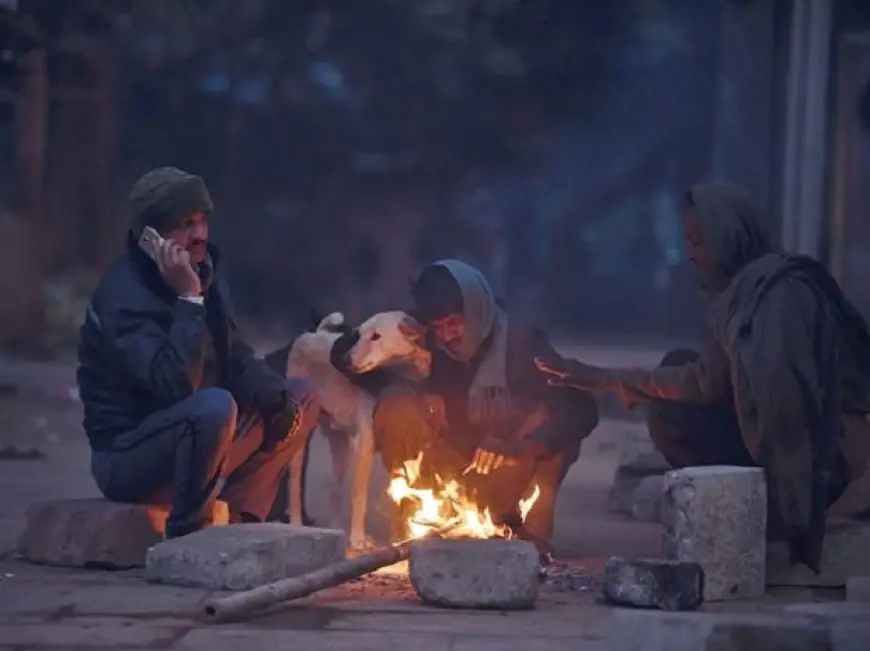 Jharkhand Winter: जमी बर्फ, खूंटी में 2.6 डिग्री का टॉर्चर, कांप रहा है पूरा झारखंड, जानें कब मिलेगी कनकनी से राहत