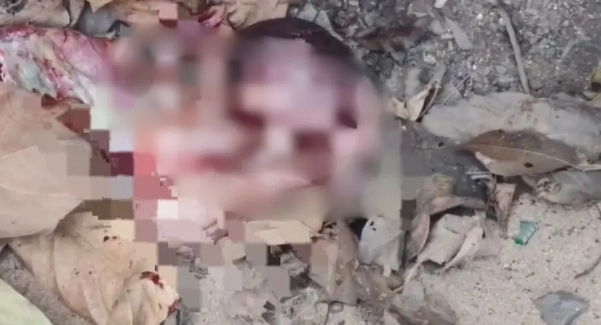 Dhanbad Shocker: कचरे में नवजात, झरिया में मानवता शर्मसार, सड़क किनारे मिला मासूम का शव, कांप उठी लोगों की रूह