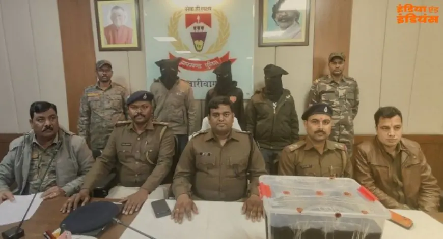 Palamu Raid: सहदेवा के जंगलों में खूनी साजिश नाकाम, पल्सर सवार दो युवक हथियार और जिंदा गोली के साथ गिरफ्तार, लेस्लीगंज मार्ग पर पुलिस का बड़ा एक्शन