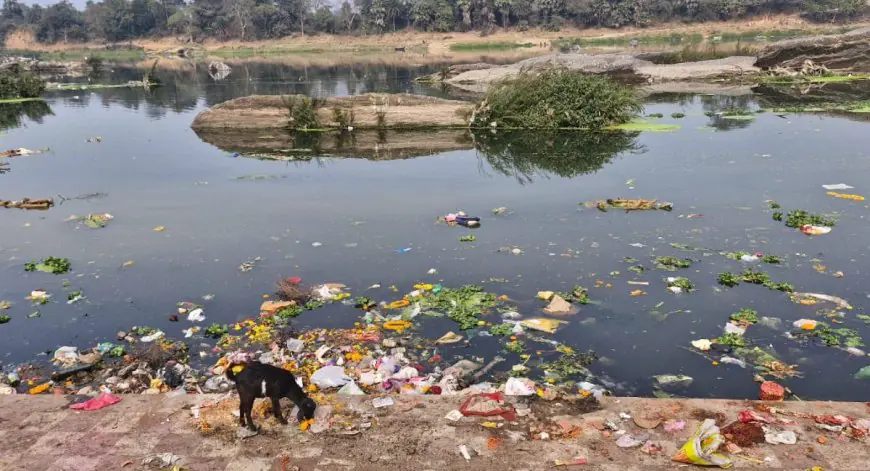 Jamshedpur Rivers: स्वर्णरेखा और खरकई बनीं कचरे का ढेर, मूर्ति विसर्जन के बाद दम तोड़ती जमशेदपुर की जीवनरेखा, प्रशासन की लापरवाही ने शहर को बनाया बीमारियों का घर