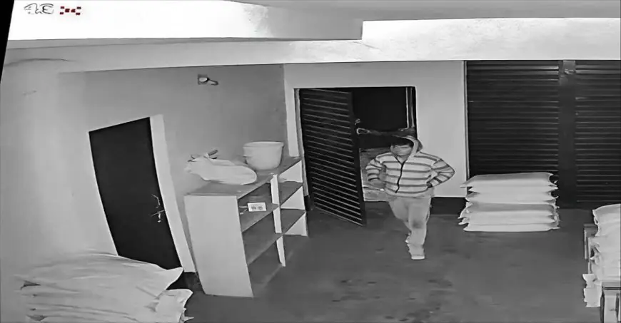Birsanagar Loot: आटा-दाल और चावल ले उड़े चोर, बिरसानगर में कारोबारी के गोदाम पर दो बार हमला, सीसीटीवी में कैद हुई आधी रात की लाइव चोरी