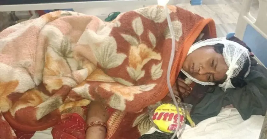 Palamu Murder: ससुराल पहुँचते ही दामाद बना जल्लाद, ससुर की चाकू गोदकर हत्या, बीच-बचाव करने आई पत्नी और साली को भी लहूलुहान कर हुआ फरार