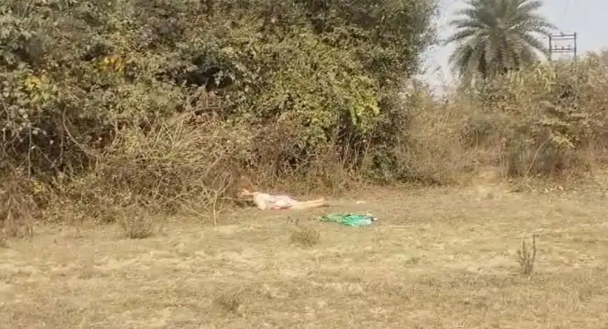 Bokaro Murder: सिटी कॉलेज के पास झाड़ियों में मिला महिला का शव, चेहरा कूचकर पहचान मिटाने की कोशिश, बोकारो में फैली सनसनी
