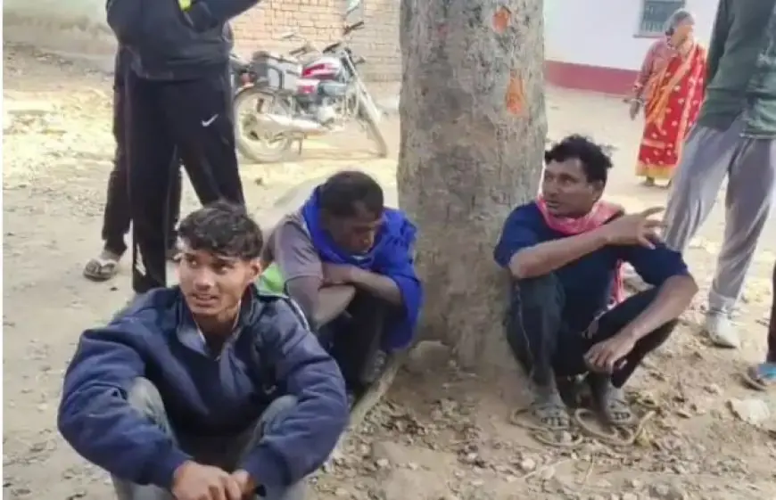 Jamtara Theft: पोसोई में सांड चोरों की शामत, ग्रामीणों ने घेराबंदी कर 3 को दबोचा, मवेशी तस्करी के बड़े गिरोह का पर्दाफाश होने की उम्मीद