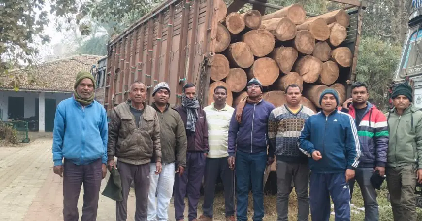 Chaibasa Seizure: सोंगरा में लकड़ी माफिया की कमर टूटी, 14 चक्का ट्रक से 6 लाख की साल लकड़ी जब्त, अंधेरे का फायदा उठाकर भागे तस्कर