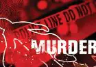 Dumka Murder: गांधी मैदान के पीछे मां-बेटी की नृशंस हत्या, झाड़ियों में मिले खून से लथपथ शव, दुष्कर्म के बाद कत्ल की आशंका से दहला दुमका