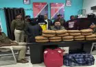 Ranchi Raid: 9 लाख का गांजा जब्त, रांची स्टेशन पर RPF ने 'ऑपरेशन नार्कोस' में तस्कर जोड़े को दबोचा