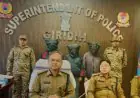 Giridih Raid: गिरिडीह पुलिस की सर्जिकल स्ट्राइक, तीन शातिर साइबर ठग दबोचे गए, बरामद हुए मोबाइल और सिम कार्ड