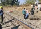 Latehar Horror: चंदवा में ट्रेन से टकराकर हाथी के बच्चे की दर्दनाक मौत, मां के ममतामयी पहरे के आगे बेबस दिखा सिस्टम, 12 घंटे ठप रहा रेलखंड