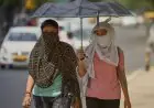 Weather Heat Update: झारखंड में गर्मी की एंट्री, होली तक चढ़ेगा पारा, चाईबासा में रिकॉर्ड तापमान और अब बदलने वाला है मिजाज