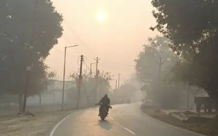 Jharkhand Weather: 6 फरवरी से लौटेगी कड़ाके की ठंड, झारखंड में पारा गिरने का अलर्ट, कोहरे और धूप के बीच मौसम विभाग की बड़ी चेतावनी