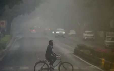 Jharkhand Weather : झारखंड में हाड़ कंपाने वाली ठंड का येलो अलर्ट, 5 डिग्री तक गिरेगा पारा और छायेगा घना कोहरा, मौसम विभाग की बड़ी चेतावनी