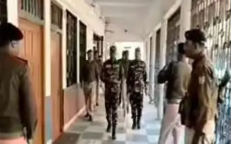 Ranchi Alert: रांची सिविल कोर्ट को बम से उड़ाने की धमकी, ई-मेल मिलते ही मचा हड़कंप, झारखंड जगुआर के दस्ते ने संभाला मोर्चा