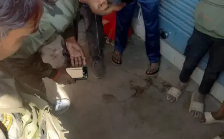 Hazaribagh  Firing: हजारीबाग में कारोबारी पर दिनदहाड़े अंधाधुंध फायरिंग, खून से लथपथ प्रभु सोनी अस्पताल में भर्ती, बड़कागांव में अपराधियों का खूनी तांडव