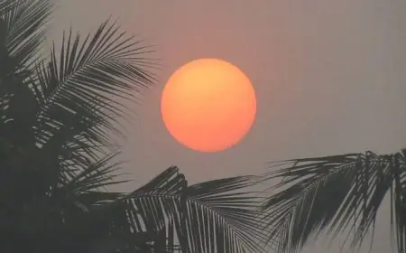 Jharkhand Weather : झारखंड में फिर लौटा दिसंबर वाला टॉर्चर, गुमला में पारा 6 डिग्री के पार और कड़ाके की कनकनी ने छुड़ाए पसीने