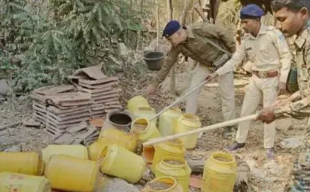 Chakulia Strike: चाकुलिया पुलिस ने ध्वस्त की अवैध शराब भट्ठियां, महुआ और उपकरणों का किया खात्मा, नगर पंचायत चुनाव से पहले माफियाओं में मचा हड़कंप