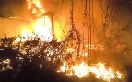 Jamshedpur Fire Incident : बंद पड़ी केबुल कंपनी में असामाजिक तत्वों ने लगाई आग, धू-धू कर जला कीमती कबाड़, गोलमुरी में अफरा-तफरी और बढ़ता बड़ा खतरा