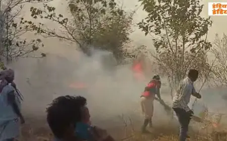 Chaibasa Blaze: झींकपानी स्वास्थ्य केंद्र के पास खेतों में भड़की भीषण आग, ग्रामीणों ने बाल्टियों से लड़ी मौत की जंग, टला बड़ा हादसा