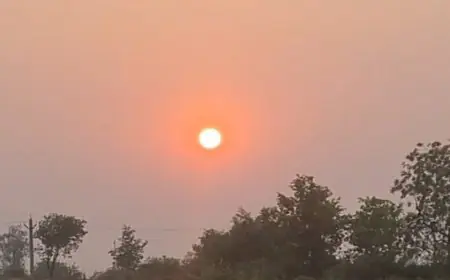 Jharkhand Weather: झारखंड में पारा गिरने से बढ़ेगी कनकनी, 48 घंटों में मौसम लेगा यू-टर्न, कोहरे और धूप के बीच छिड़ी जंग