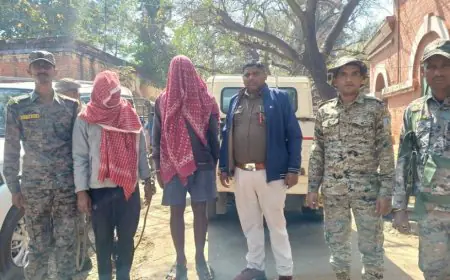 Palamu Raid: गौशाला में छिपी थी 18,880 लीटर 'मौत', पलामू में उत्पाद विभाग का महा-एक्शन, बिहार भेजने की थी खौफनाक तैयारी