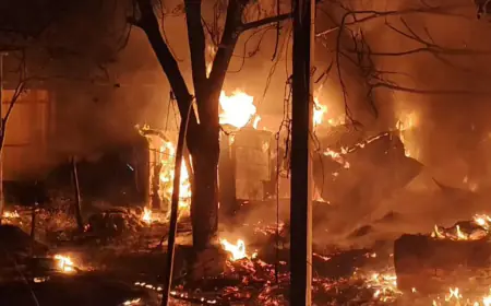 Dhanbad Fire: स्टील गेट सब्जी मंडी में आधी रात तांडव, 12 दुकानें जलकर खाक, सो रही महिला ने भागकर बचाई जान, साजिश या हादसा?