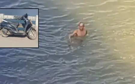 Adityapur Tragedy: सांपड़ा पुल पर स्कूटी खड़ी कर युवक ने स्वर्णरेखा में लगाई मौत की छलांग, मची चीख-पुकार, तमोलिया के वरुण के खौफनाक कदम से हर कोई दंग