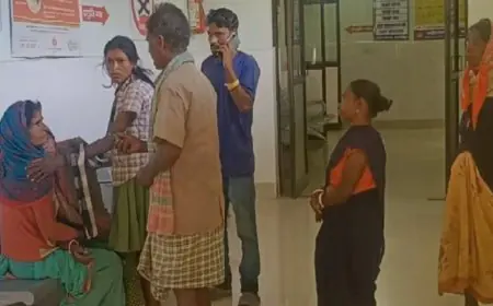 Gumla Tragedy: स्कूल जा रही मासूम की मौत, बसिया में पलटा बच्चों से भरा ऑटो, महाराजगंज के पास मची चीख-पुकार