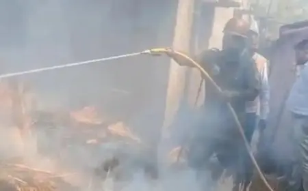 Jamtara Fire: मिहिजाम में आग का तांडव, बिचाली के ढेर से उठी लपटों ने मचाई तबाही, चित्तरंजन से पहुंचीं दमकल की गाड़ियां