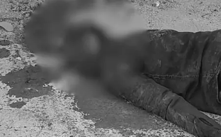 Ranchi Murder: पत्थर से कूचकर बेरहमी से हत्या, कोकर के गाड़ी गांव में खून से लथपथ मिली लाश, बाइक पर भी मिले खूनी निशान