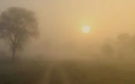 Jharkhand Weather: झारखंड में मौसम का डबल अटैक, सुबह घने कोहरे की चादर तो दोपहर में पसीने छुड़ाएगी गर्मी, अगले 7 दिनों तक बदला रहेगा मिजाज