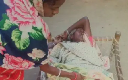 Chaibasa Elephant: बेनागाड़िया गांव में हाथी का खूनी तांडव, बुजुर्ग महिला को पटककर उतारा मौत के घाट, ओडिशा ले जाते समय रास्ते में टूटी सांसें