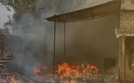 Dhanbad Blaze: बरवाअड्डा की रुई फैक्ट्री में आग का तांडव, जिंदा जलते बचे मजदूर, घंटों बाद पहुंची दमकल की गाड़ी और राख हो गए लाखों रुपये