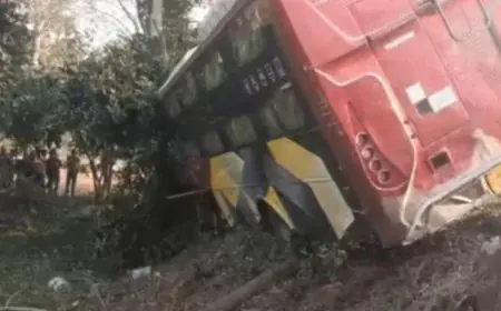 Godda Accident: बांसभीठा के खौफनाक मोड़ पर दो यात्री बसें आपस में भिड़ीं, मची चीख-पुकार, ग्रामीणों और पुलिस ने बचाई यात्रियों की जान