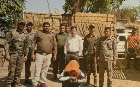 Palamu Raid: होली से पहले पलामू में शराब माफिया का साम्राज्य ध्वस्त, पक्के मकान से 42 लाख की अंग्रेजी शराब जब्त, 4 तस्कर फरार