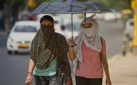 Weather Heat Update: झारखंड में गर्मी की एंट्री, होली तक चढ़ेगा पारा, चाईबासा में रिकॉर्ड तापमान और अब बदलने वाला है मिजाज