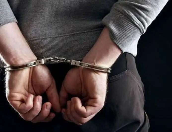 Hazaribagh Chase: बैरियर तोड़कर भाग रही स्कॉर्पियो को पुलिस ने घेरा, 'गुरु जी' समेत अंतरराज्यीय गिरोह के 6 शातिर चोर गिरफ्तार