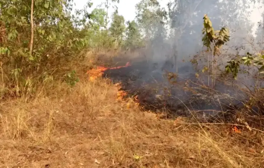 Baharagora Fire: झरिया मोड़ के पास भयंकर आग से हड़कंप, एनएच-18 पर लाइन होटलों तक पहुँची लपटें, सैकड़ों पौधे जलकर राख और बाल-बाल बचा बड़ा हादसा