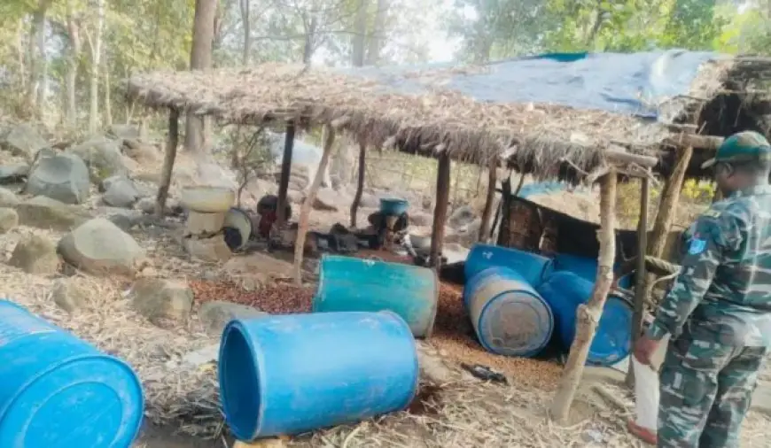 Chaibasa Raid: मझगांव में उत्पाद विभाग का बड़ा एक्शन, 1000 किलो जावा महुआ और शराब बरामद, पुलिस को देख तस्करों में मची भगदड़