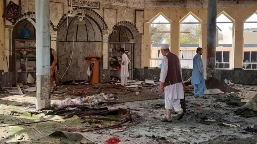 Islamabad Blast: इस्लामाबाद के इमामबाड़े में जुमे की नमाज पर आत्मघाती हमला, धमाके में 10 नमाजियों की मौत, राजधानी के अस्पतालों में रेड अलर्ट