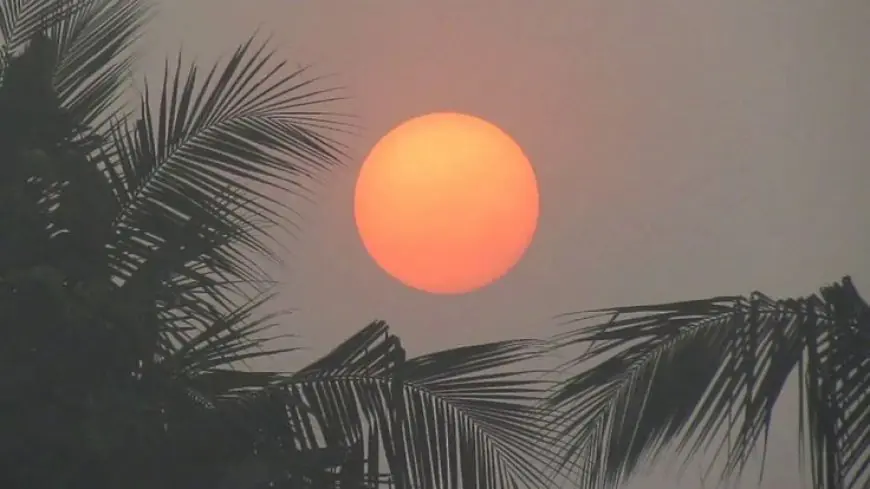 Jharkhand Weather : झारखंड में फिर लौटा दिसंबर वाला टॉर्चर, गुमला में पारा 6 डिग्री के पार और कड़ाके की कनकनी ने छुड़ाए पसीने