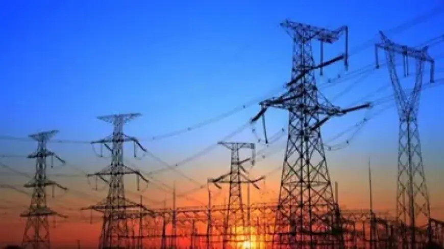 Power Strike: कल गुल हो सकती है आपके शहर की बिजली, 27 लाख कर्मचारी उतरेंगे सड़कों पर