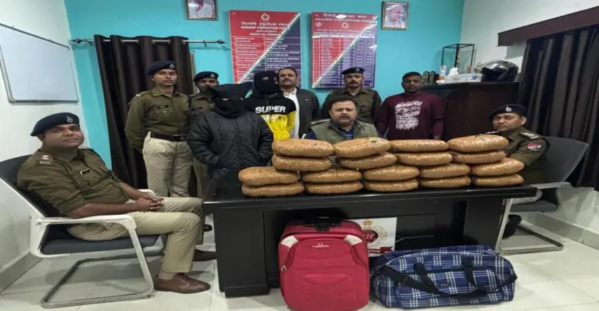 Ranchi Raid: 9 लाख का गांजा जब्त, रांची स्टेशन पर RPF ने 'ऑपरेशन नार्कोस' में तस्कर जोड़े को दबोचा