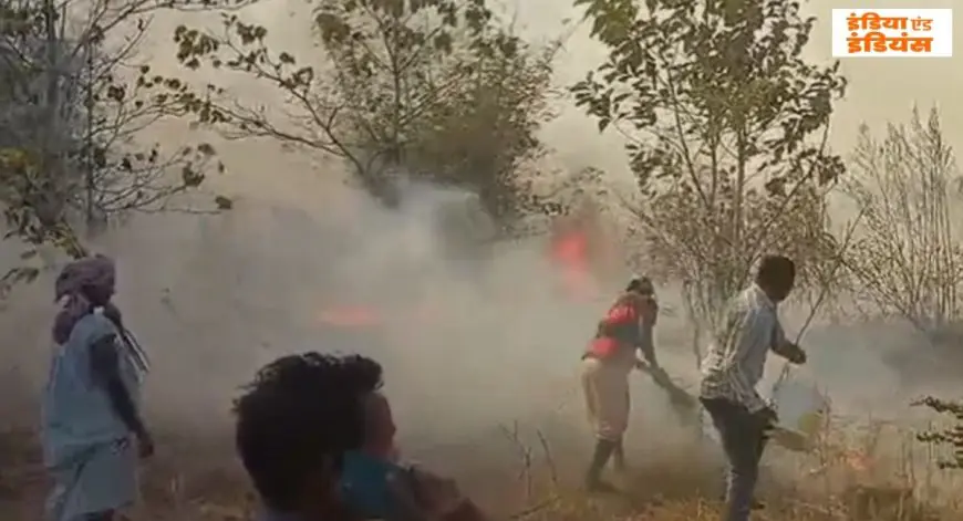 Chaibasa Blaze: झींकपानी स्वास्थ्य केंद्र के पास खेतों में भड़की भीषण आग, ग्रामीणों ने बाल्टियों से लड़ी मौत की जंग, टला बड़ा हादसा