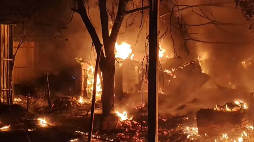 Dhanbad Fire: स्टील गेट सब्जी मंडी में आधी रात तांडव, 12 दुकानें जलकर खाक, सो रही महिला ने भागकर बचाई जान, साजिश या हादसा?