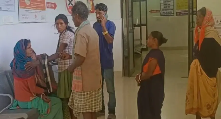 Gumla Tragedy: स्कूल जा रही मासूम की मौत, बसिया में पलटा बच्चों से भरा ऑटो, महाराजगंज के पास मची चीख-पुकार