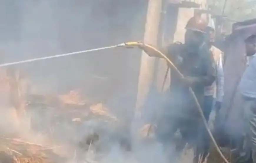 Jamtara Fire: मिहिजाम में आग का तांडव, बिचाली के ढेर से उठी लपटों ने मचाई तबाही, चित्तरंजन से पहुंचीं दमकल की गाड़ियां