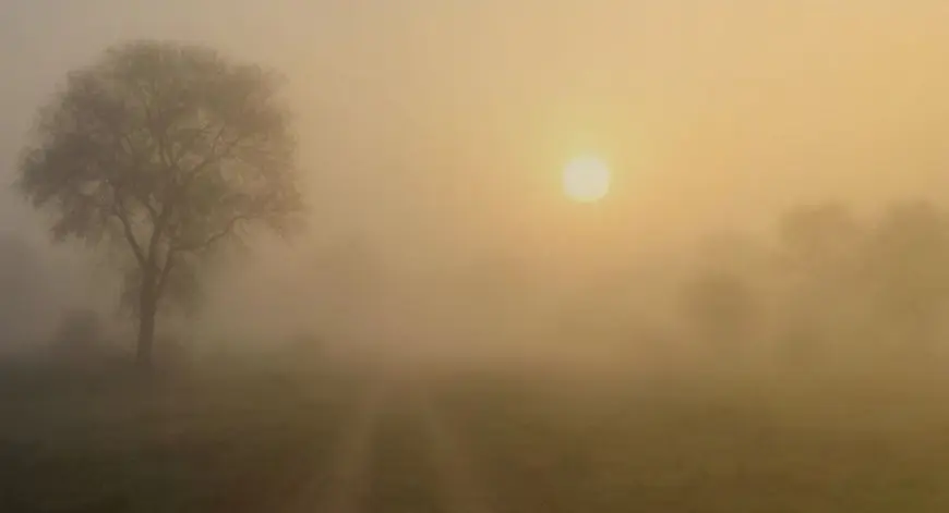 Jharkhand Weather: झारखंड में मौसम का डबल अटैक, सुबह घने कोहरे की चादर तो दोपहर में पसीने छुड़ाएगी गर्मी, अगले 7 दिनों तक बदला रहेगा मिजाज