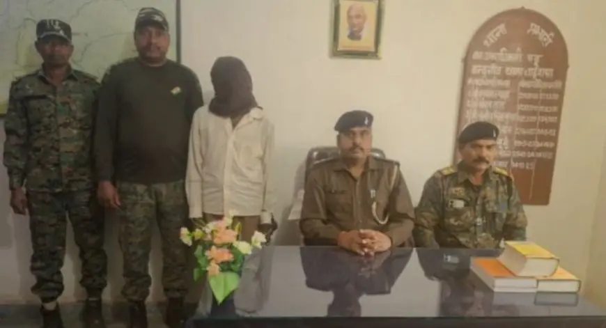 Chaibasa Strike: चाईबासा के जंगलों में अफीम की खेती पर पुलिस का वज्रपात, 5 एकड़ की फसल तबाह और तस्कर जिठुवा कोंगाडी गिरफ्तार